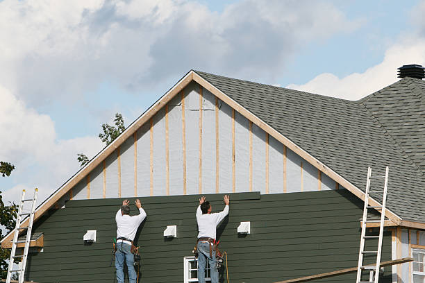 Best Vinyl Siding Installation  in Newbern, TN