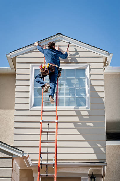 Best Brick Veneer Siding  in Newbern, TN